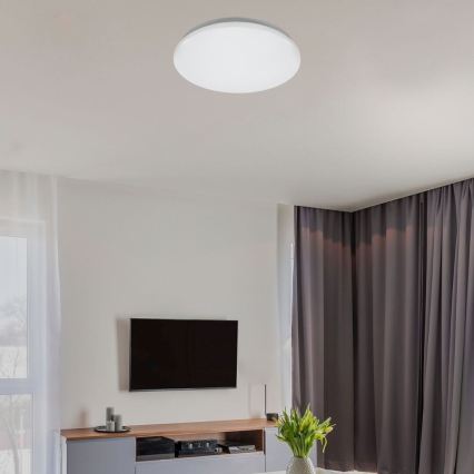 Rabalux - Lampa sufitowa LED/24W/230V 4000K śr. 37,5 cm