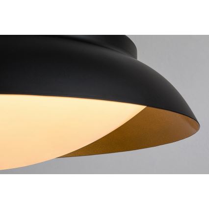 Rabalux - LED Żyrandol na lince LED/24W/230V 3000K