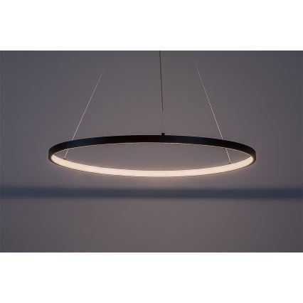 Rabalux - Lampa wisząca na lince LED/55W/230V 3000K