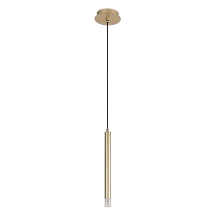 Rabalux - Żyrandol na lince 1xG9/5W/230V złoty