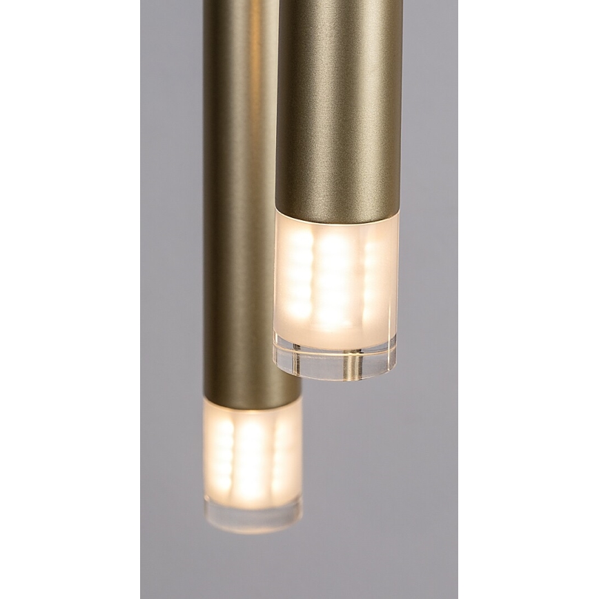 Rabalux - Żyrandol na lince 5xG9/5W/230V złoty
