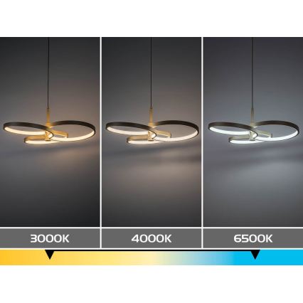 Rabalux - ściemnialny żyrandol LED na lince LED/50W/230V 3000-6500K + zdalne sterowanie