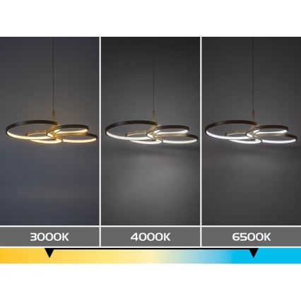Rabalux - LED ściemnialny żyrandol na linkach LED/70W/230V 3000-6500K + pilot zdalnego sterowania