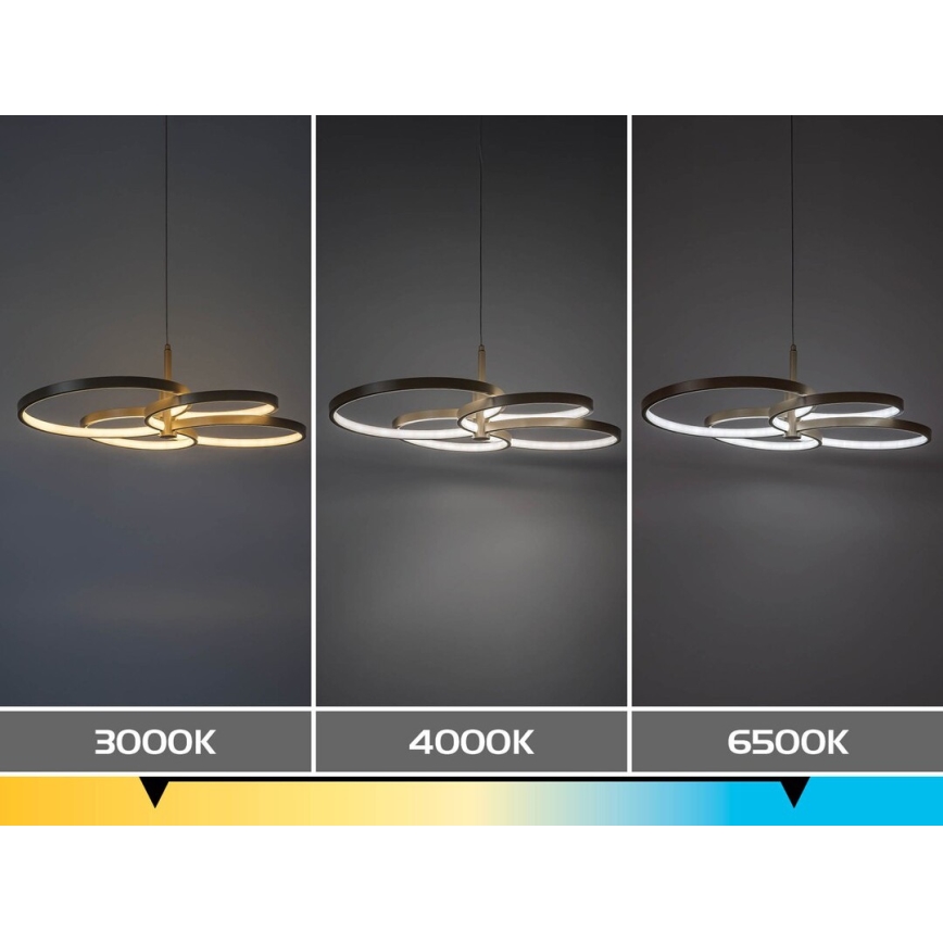 Rabalux - LED ściemnialny żyrandol na linkach LED/70W/230V 3000-6500K + pilot zdalnego sterowania