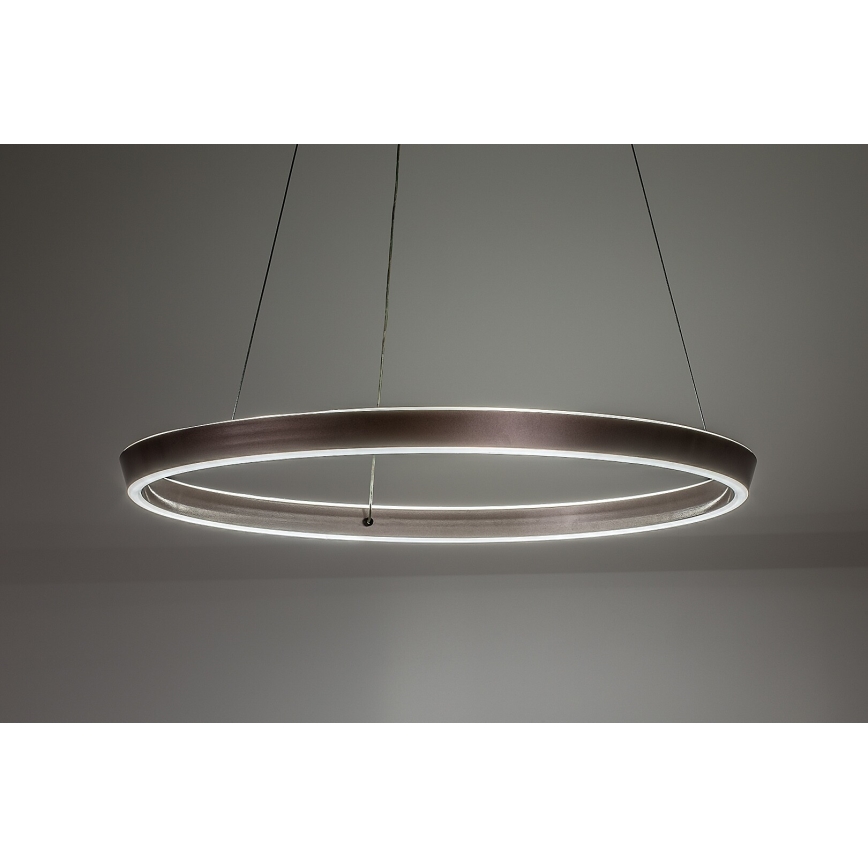 Rabalux - LED Ściemnialny żyrandol na lince LED/70W/230V 3000-6500K + zdalne sterowanie