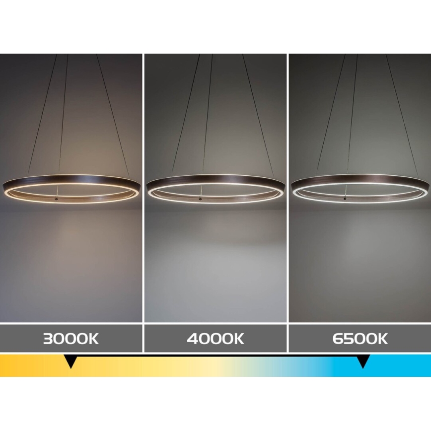 Rabalux - LED Ściemnialny żyrandol na lince LED/70W/230V 3000-6500K + zdalne sterowanie