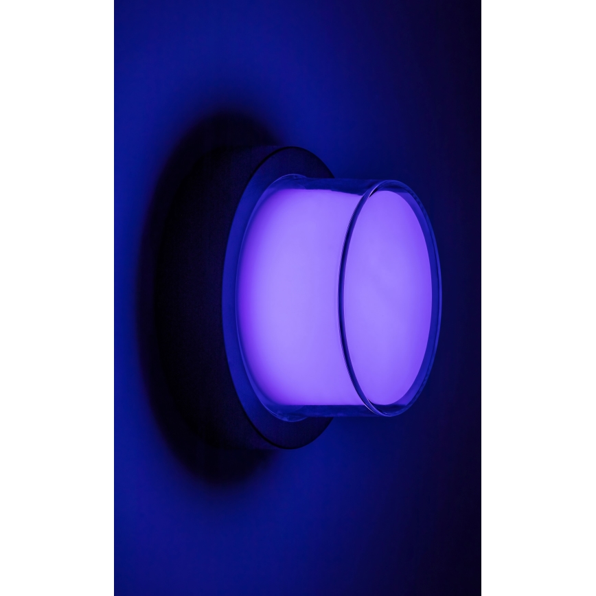 Rabalux - LED RGBW Kinkiet zewnętrzny LED/10W/230V IP54 Wi-Fi Tuya