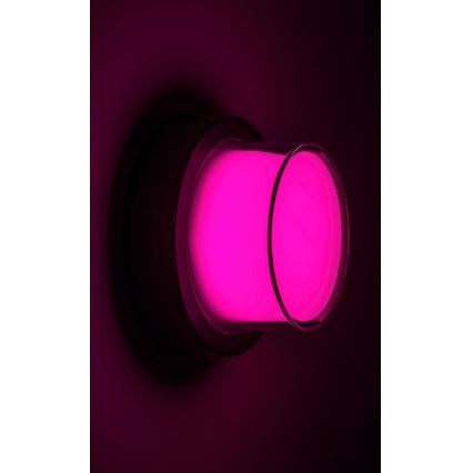 Rabalux - LED RGBW Kinkiet zewnętrzny LED/10W/230V IP54 Wi-Fi Tuya