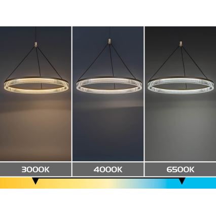 Rabalux - LED ściemnialny żyrandol na lince LED/24W/230V 3000-6500K + pilot zdalnego sterowania