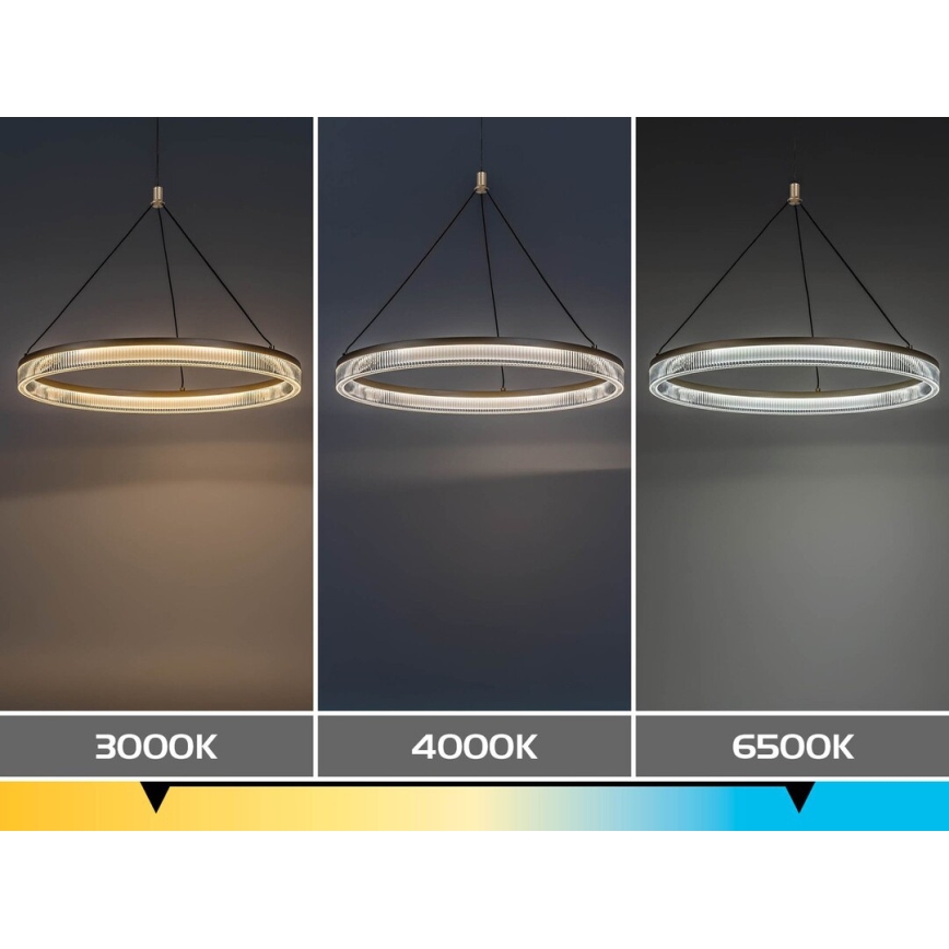 Rabalux - LED ściemnialny żyrandol na lince LED/24W/230V 3000-6500K + pilot zdalnego sterowania
