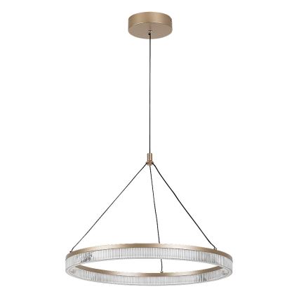 Rabalux - LED ściemnialny żyrandol na lince LED/24W/230V 3000-6500K + pilot zdalnego sterowania