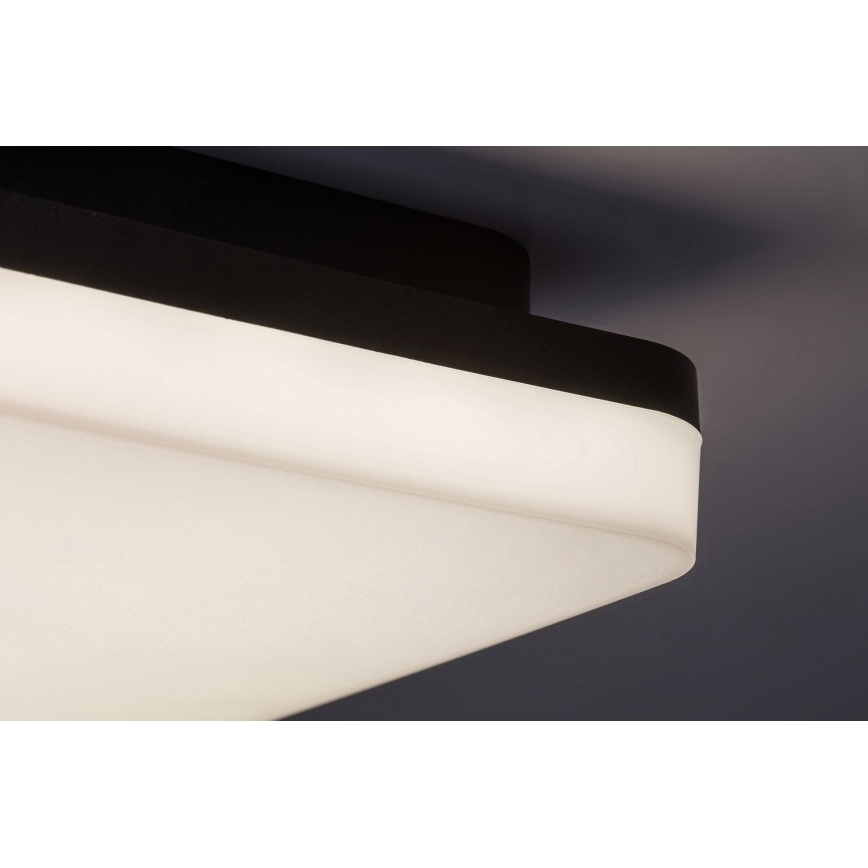Rabalux - LED sufitowa lampa łazienkowa LED/24W/230V IP54