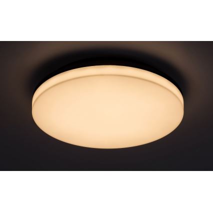 Rabalux - LED Plafon łazienkowy LED/24W/230V IP54