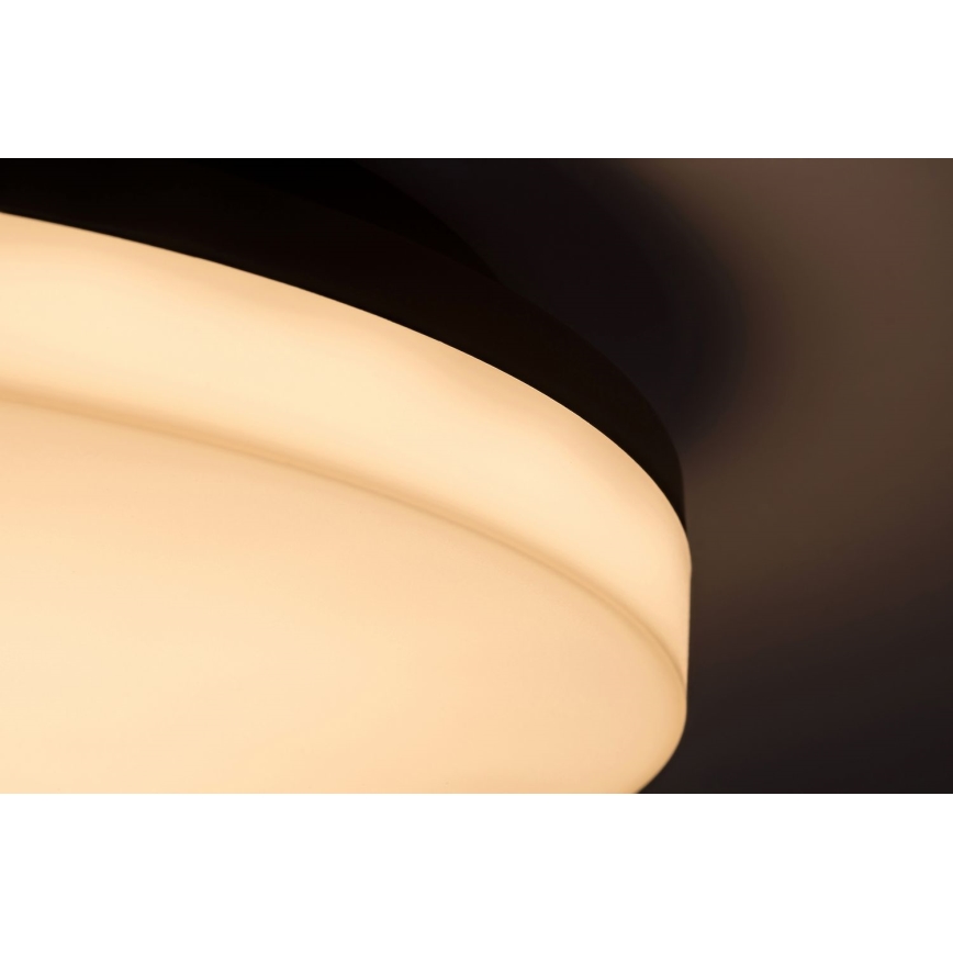 Rabalux - LED Plafon łazienkowy LED/24W/230V IP54