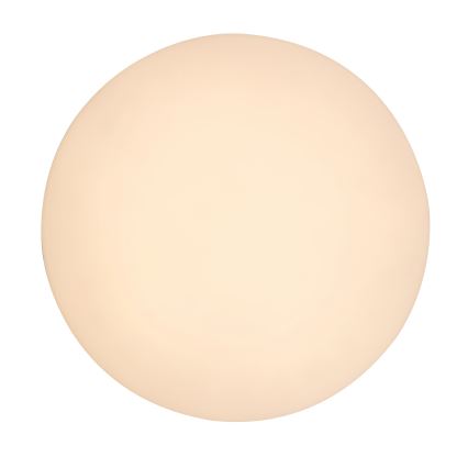 Rabalux - LED Plafon łazienkowy LED/24W/230V IP54