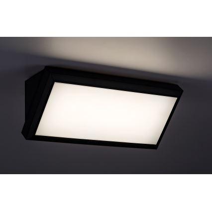 Rabalux - LED Kinkiet zewnętrzny LED/12W/230V IP54