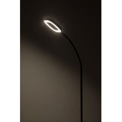 Rabalux - LED Ściemnialna dotykowa lampa podłogowa LED/11W/230V 3000K