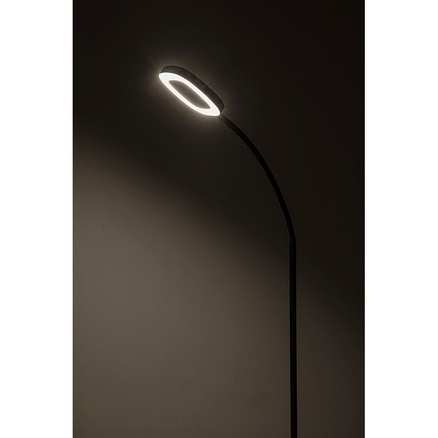 Rabalux - LED Ściemnialna dotykowa lampa podłogowa LED/11W/230V 3000K