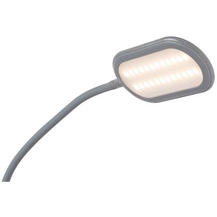 Rabalux - LED Ściemnialna touch Lampa podłogowa LED/10W/230V 3000-6000K szare