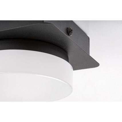 Rabalux - LED Plafon łazienkowy LED/5W/230V IP44 4000K czarne