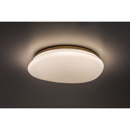 Rabalux - Lampa sufitowa LED do łazienki 24W/230V IP44 śr. 41 cm