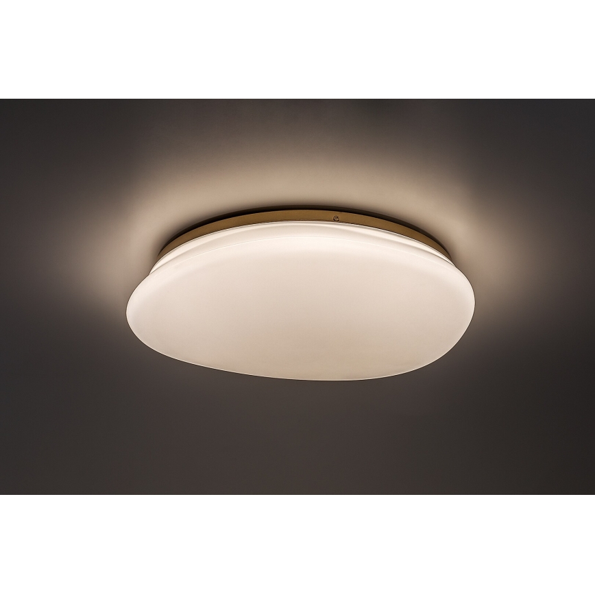 Rabalux - Lampa sufitowa LED do łazienki 24W/230V IP44 śr. 41 cm