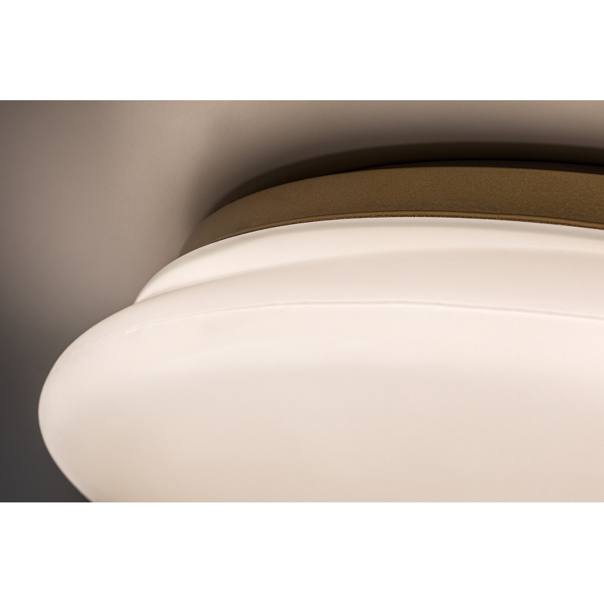 Rabalux - Lampa sufitowa LED do łazienki 24W/230V IP44 śr. 41 cm