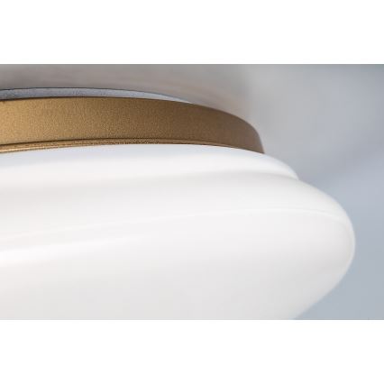 Rabalux - Lampa sufitowa LED do łazienki 24W/230V IP44 śr. 41 cm