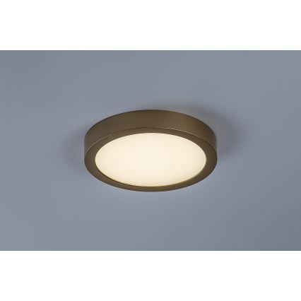 Rabalux - LED plafon łazienkowy LED/24W/230V, średnica 22 cm, IP44, złoty
