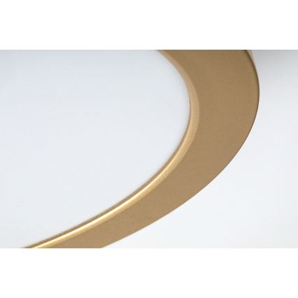 Rabalux - LED plafon łazienkowy LED/24W/230V, średnica 22 cm, IP44, złoty