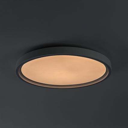Rabalux - LED Ściemnialna oprawa sufitowa LED/31W/230V IP40 3000-6500K śr. 41,5 cm + pilot zdalnego sterowania