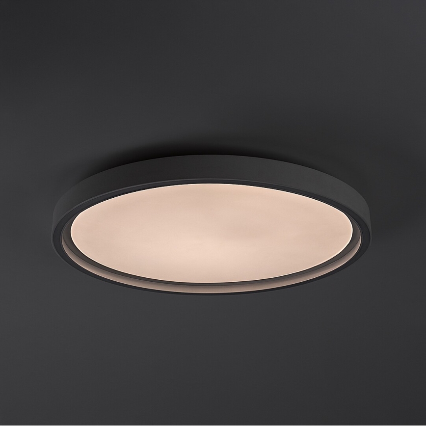 Rabalux - LED Ściemnialna oprawa sufitowa LED/31W/230V IP40 3000-6500K śr. 41,5 cm + pilot zdalnego sterowania