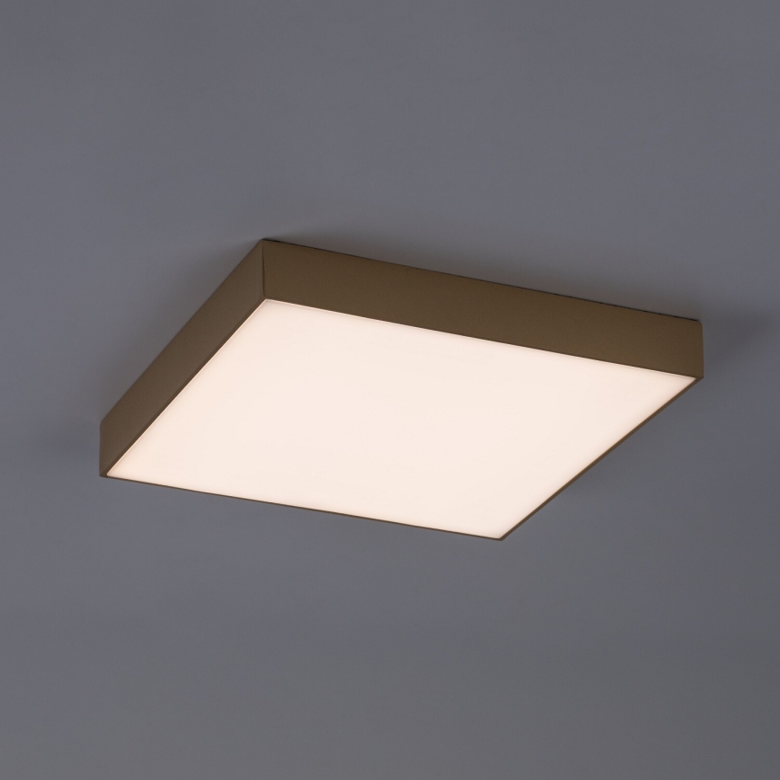 Rabalux - Plafon łazienkowy LED/24W/230V 2800/4000/6000K IP44