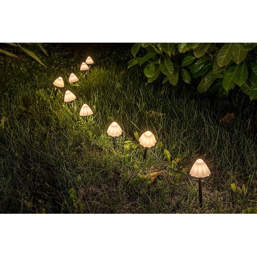 Rabalux - LED Oświetlenie solarne 10xLED/0,2W/1,2V IP44