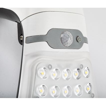 Rabalux - LED regulowane oświetlenie solarne z czujnikiem LED/4W/3,7V IP44 1800 mAh