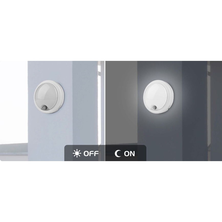 Rabalux - LED Kinkiet zewnętrzny z czujnikiem LED/15W/230V IP54