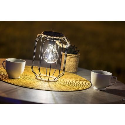 Rabalux - LED Lampa solarna LED/0,2W/1,2V IP44 600 mAh