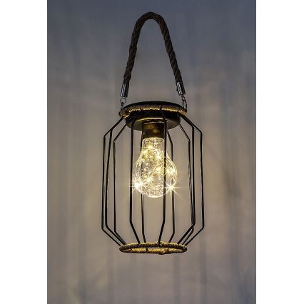 Rabalux - LED Oświetlenie solarne LED/0,2W/1,2V IP44