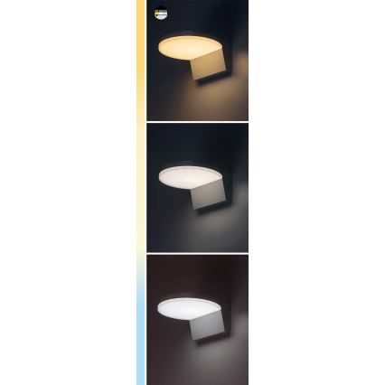 Rabalux - LED Kinkiet zewnętrzny LED/9W/230V 2700/4000/6500K IP54 biały