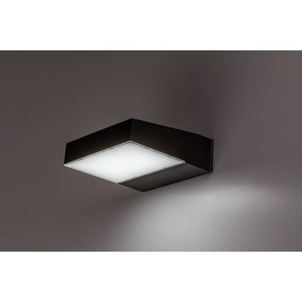 Rabalux - LED Kinkiet zewnętrzny LED/14W/230V 2700/4000/6500K IP54