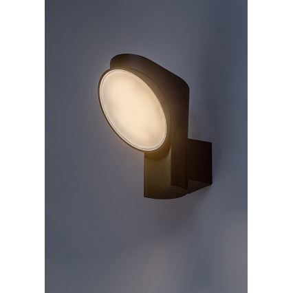 Rabalux - LED Kinkiet zewnętrzny LED/12W/230V IP54