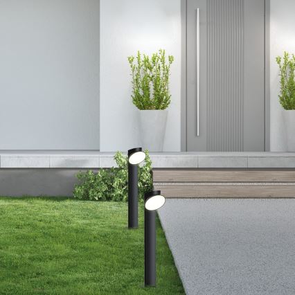 Rabalux - LED Lampa zewnętrzna LED/12W/230V IP54