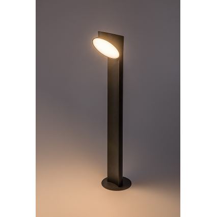 Rabalux - LED Lampa zewnętrzna LED/12W/230V IP54