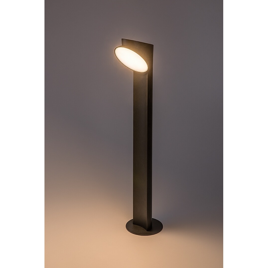 Rabalux - LED Lampa zewnętrzna LED/12W/230V IP54