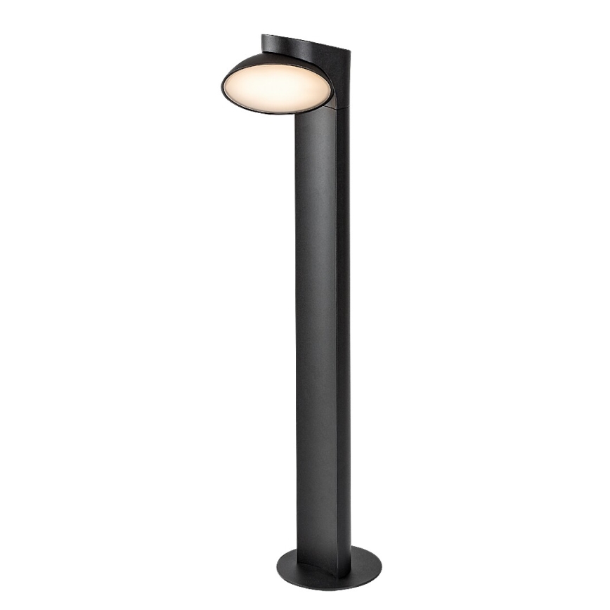 Rabalux - LED Lampa zewnętrzna LED/12W/230V IP54