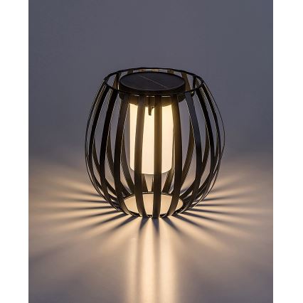 Rabalux - LED Oświetlenie solarne LED/1W/1,2V 300mAh IP44
