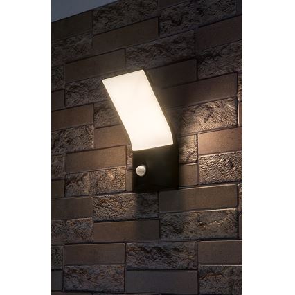 Rabalux - LED Kinkiet zewnętrzny z czujnikiem LED/10W/230V IP54