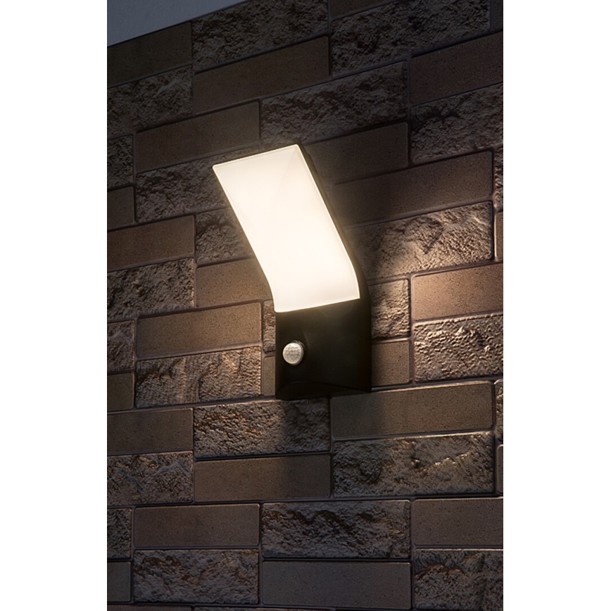 Rabalux - LED Kinkiet zewnętrzny z czujnikiem LED/10W/230V IP54