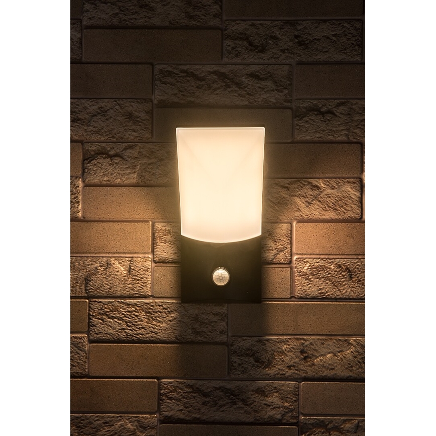 Rabalux - LED Kinkiet zewnętrzny z czujnikiem LED/10W/230V IP54