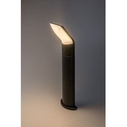 Rabalux - LED Lampa zewnętrzna LED/10W/230V IP54